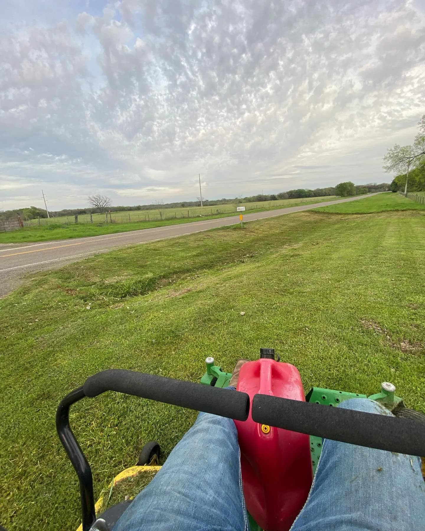 YC Mowing yard work photo 15