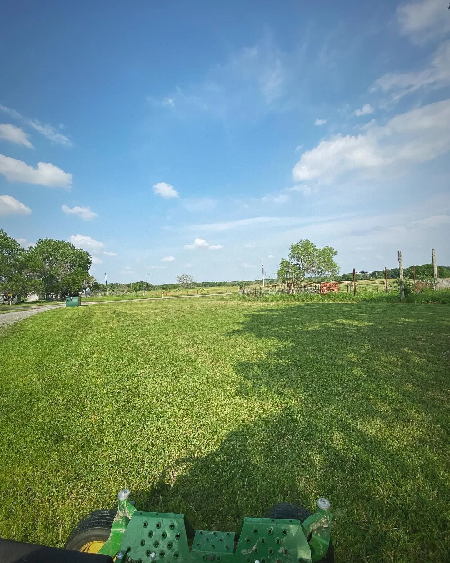 YC Mowing yard work photo 18