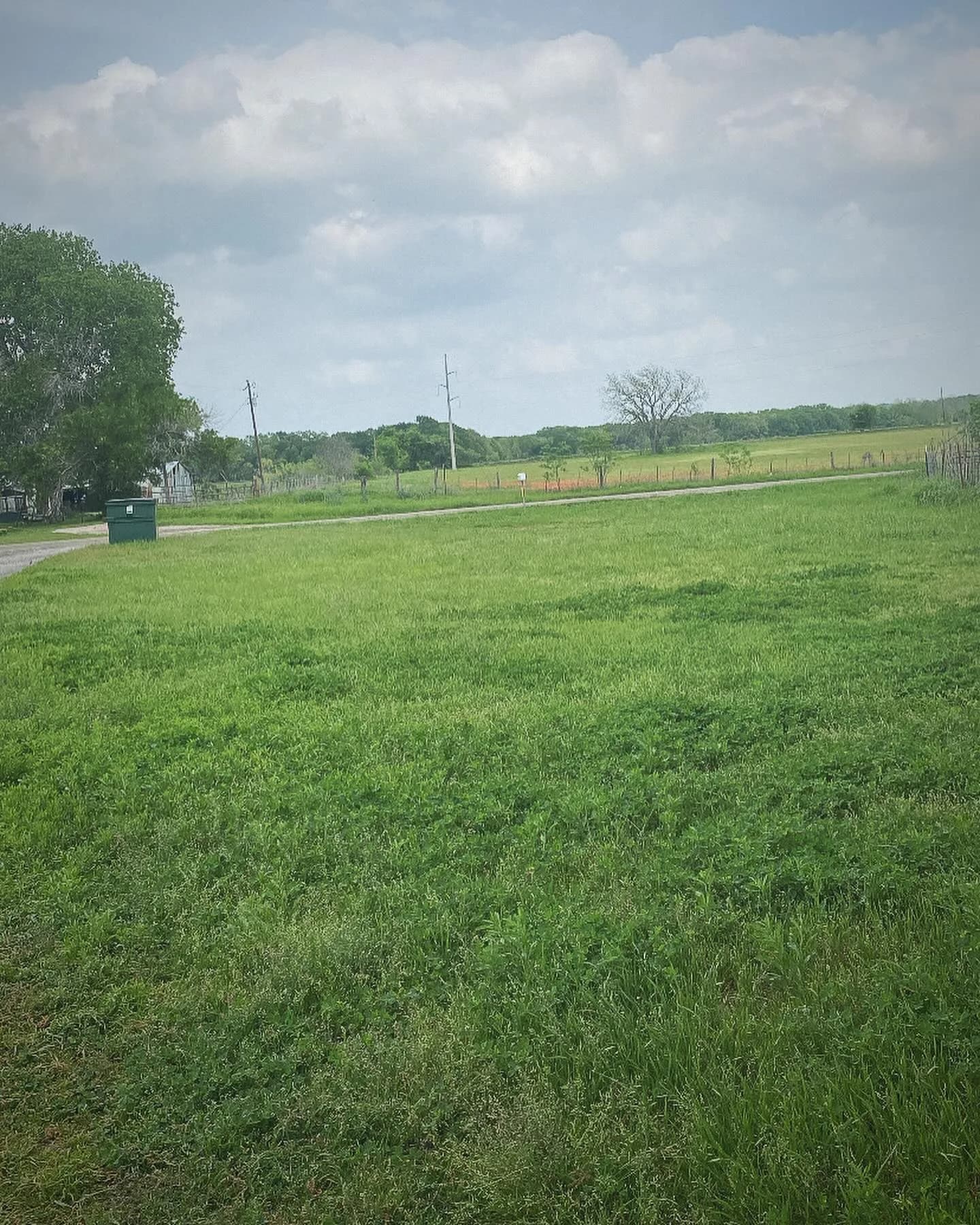 YC Mowing yard work photo 19