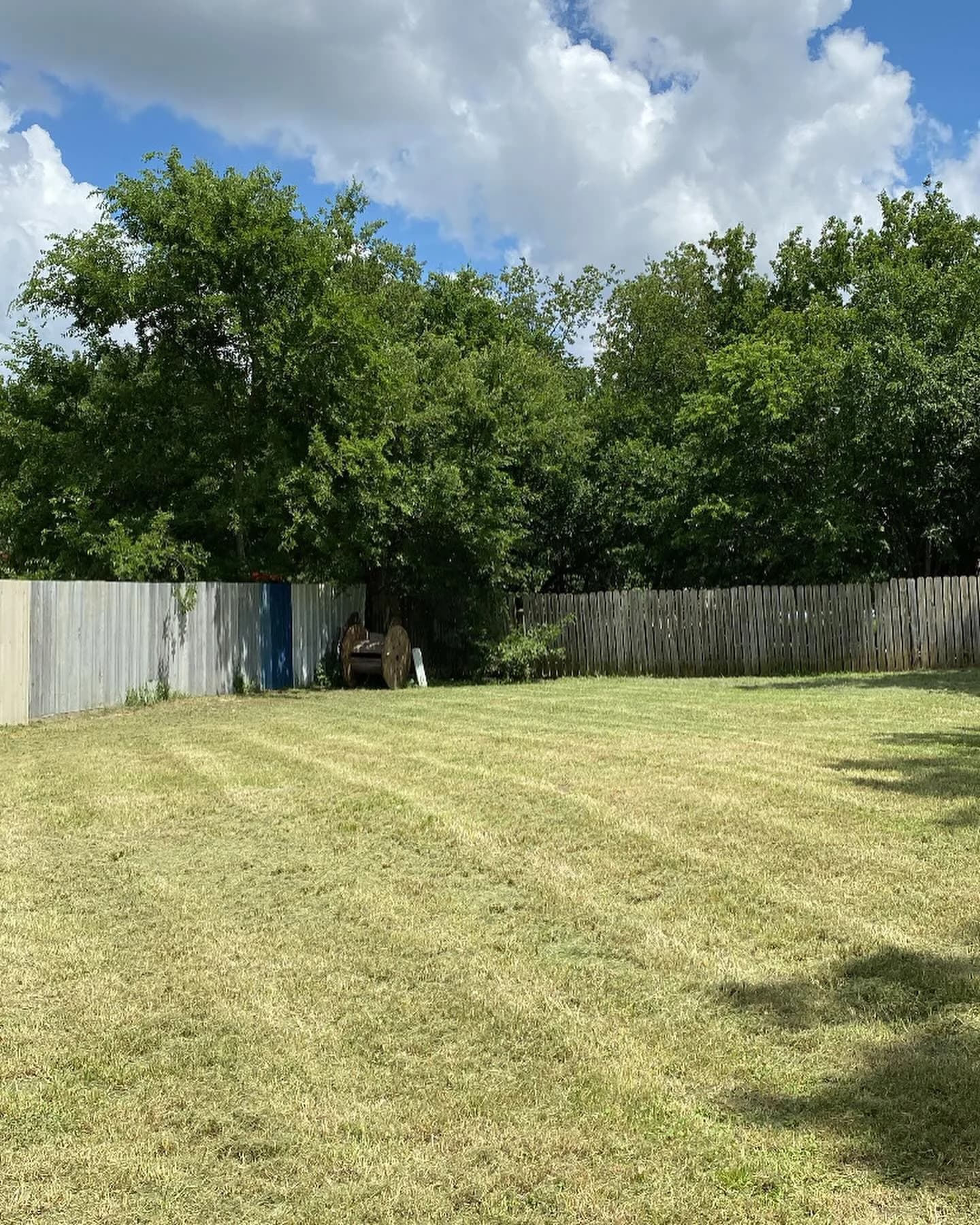 YC Mowing yard work photo 25