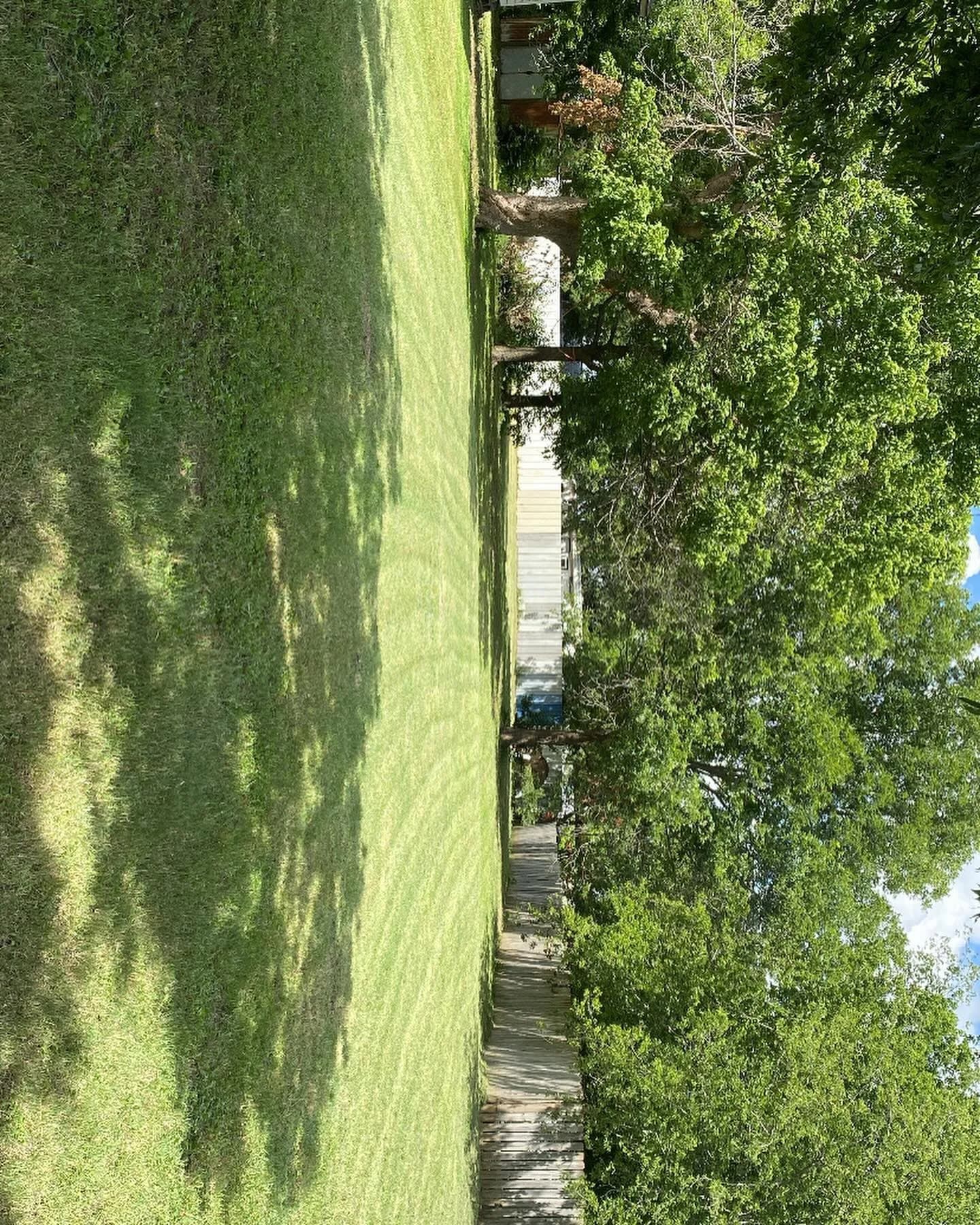 YC Mowing yard work photo 27