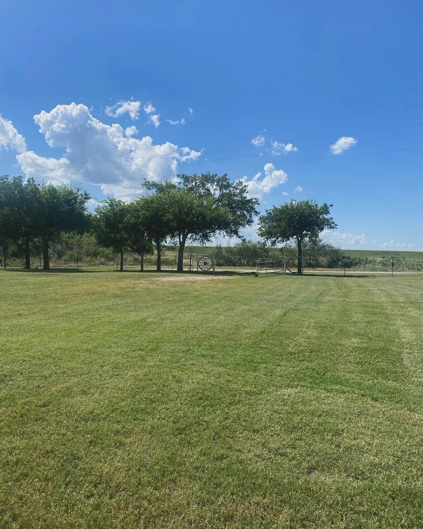 YC Mowing yard work photo 29