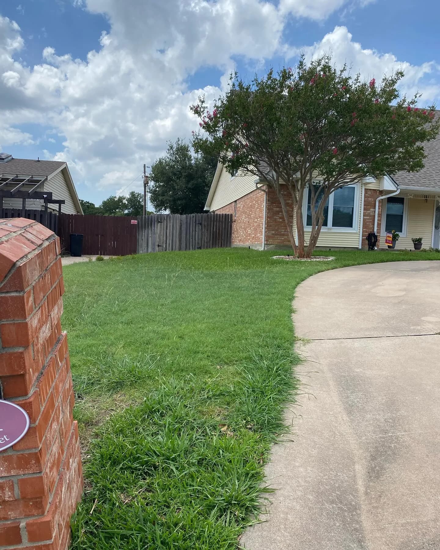 YC Mowing yard work photo 33