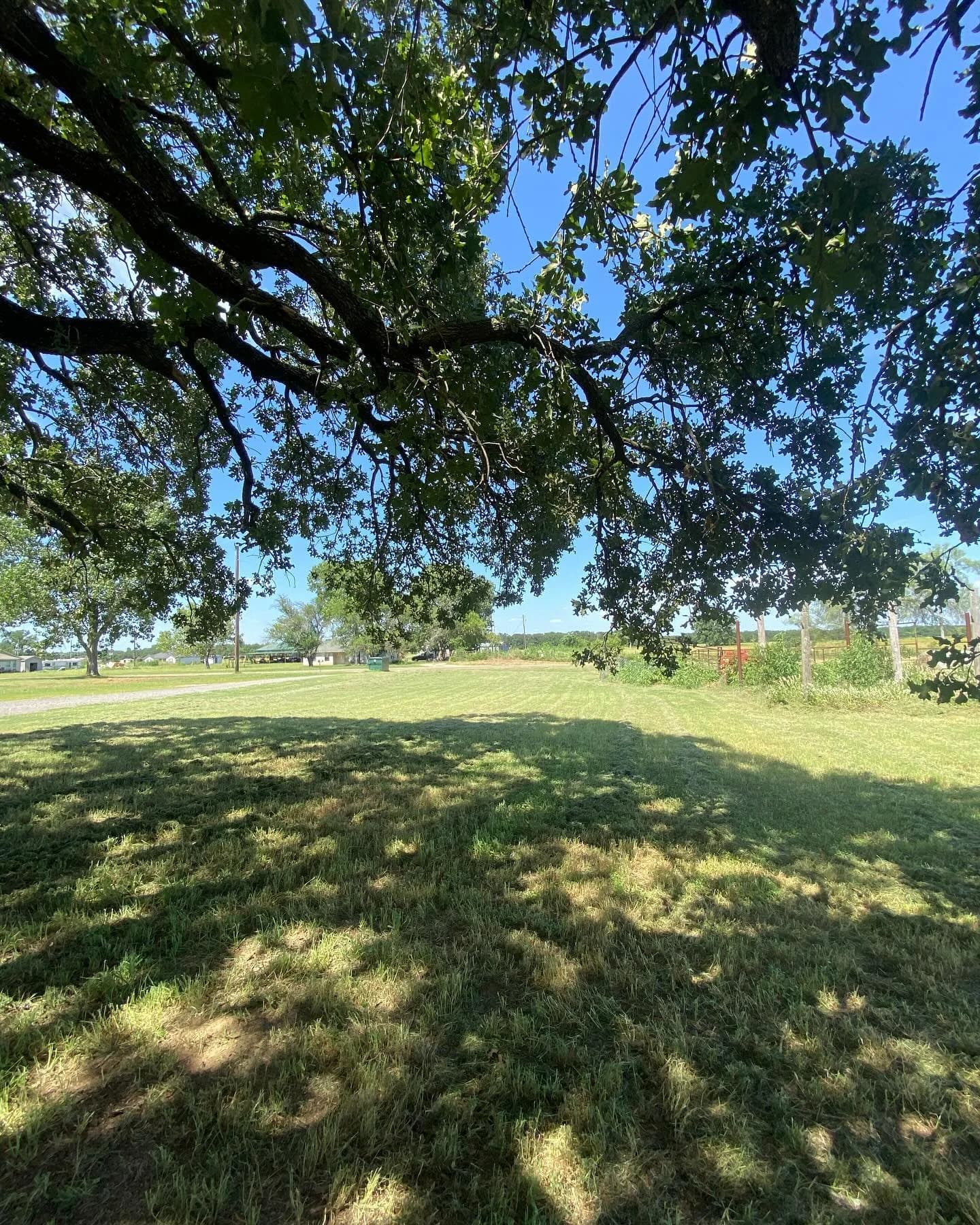 YC Mowing yard work photo 41