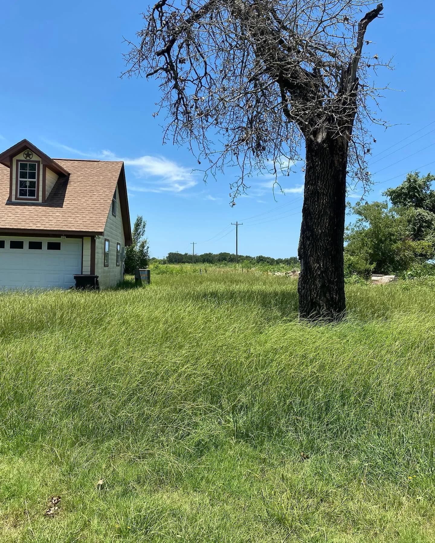 YC Mowing yard work photo 45