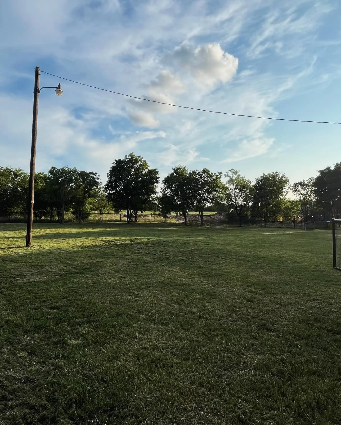 YC Mowing yard work photo 48