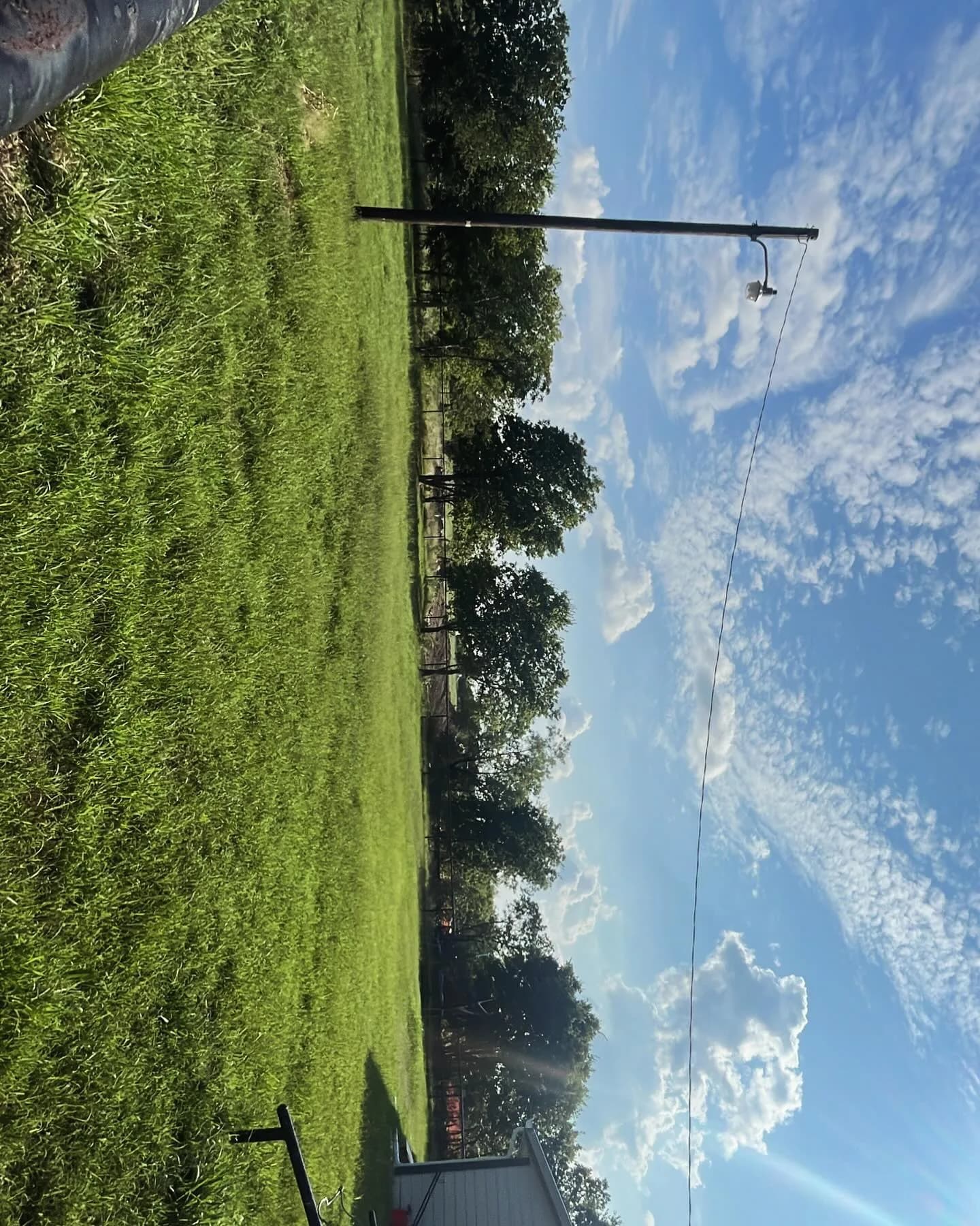 YC Mowing yard work photo 49