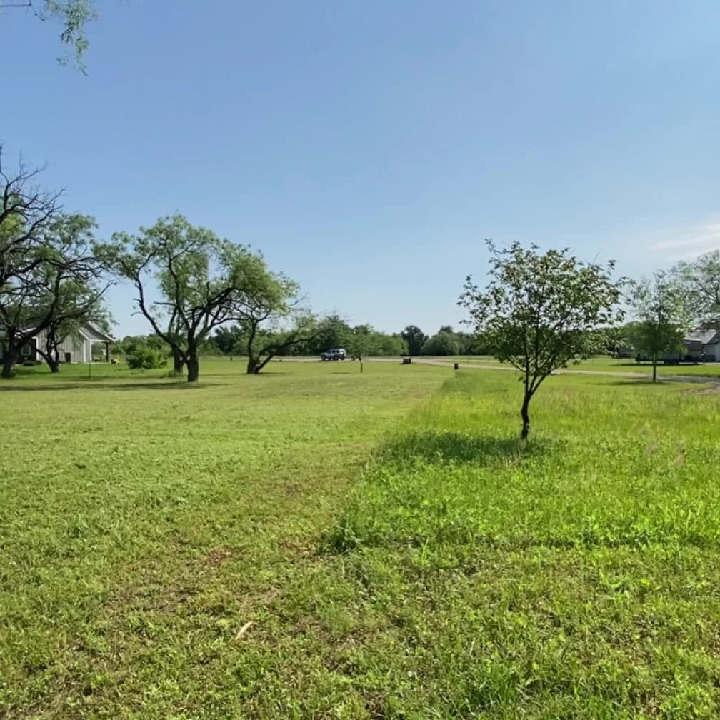 YC Mowing yard work photo 60