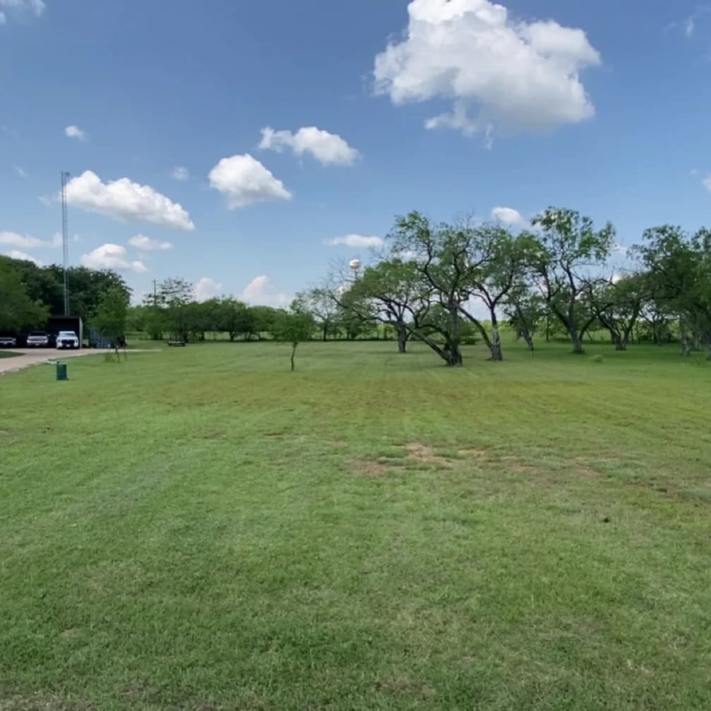 YC Mowing yard work photo 61
