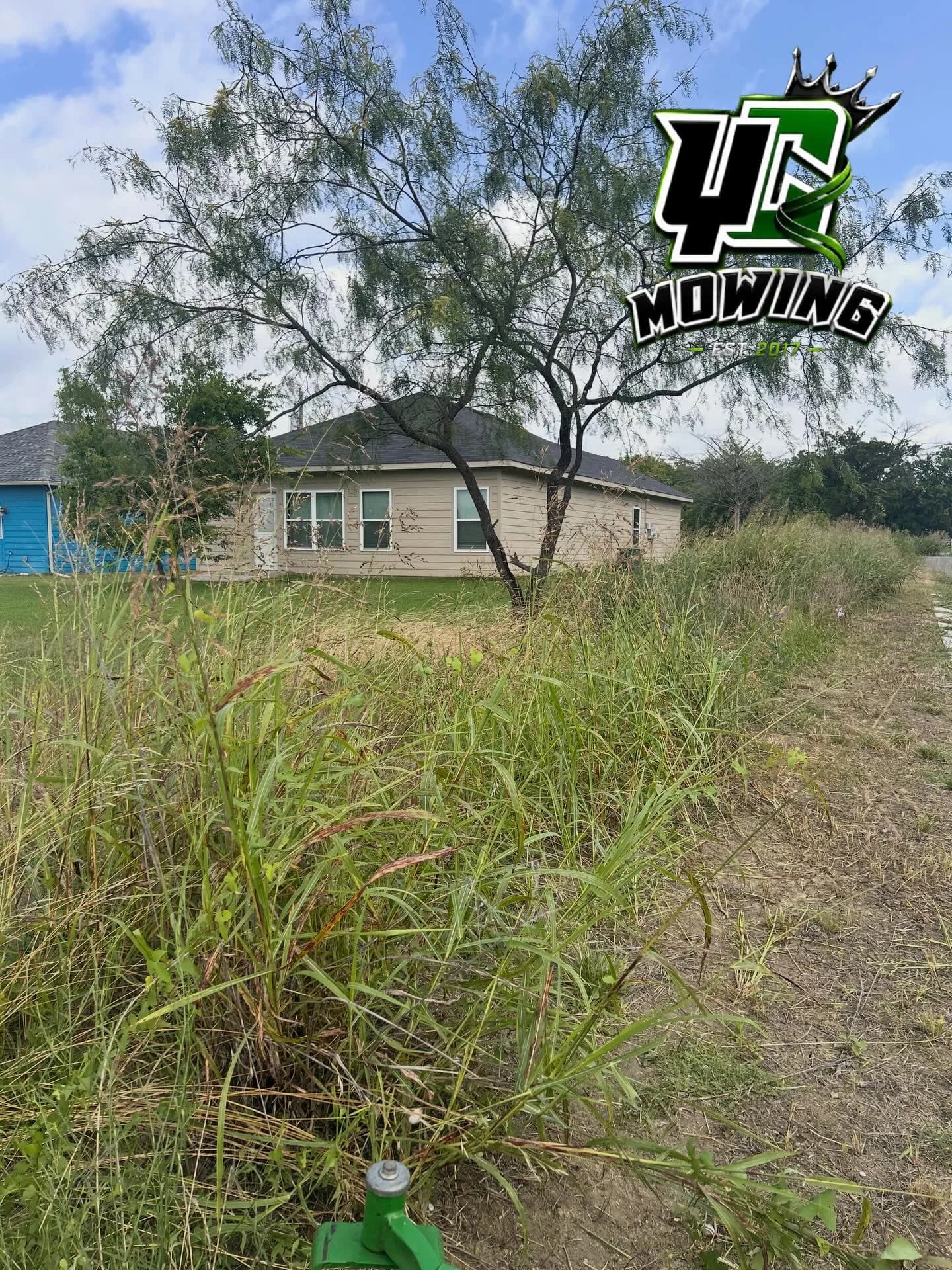YC Mowing yard work photo 76